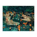 Flamingo Creek (Print Only) thumbnail