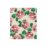 Pomegranate V2 (Print Only) thumbnail