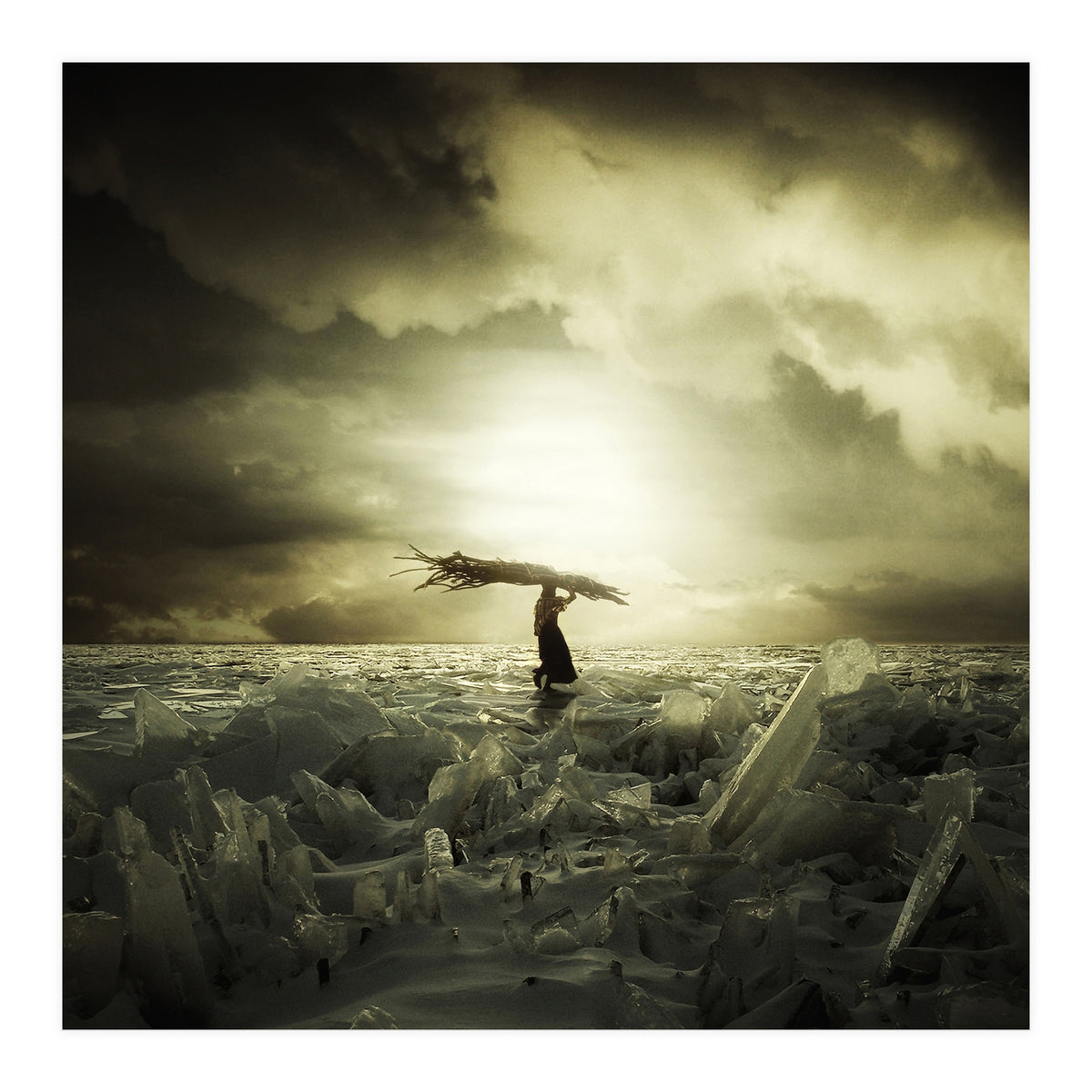 Frozen Nation (Print Only)