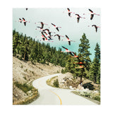 Flamingo Flight (Print Only) thumbnail