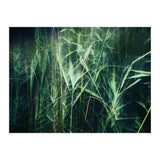 green green grass (Print Only) thumbnail