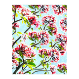 Frangipani (Print Only) thumbnail