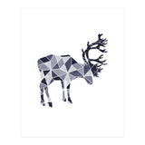 32 (Print Only) thumbnail