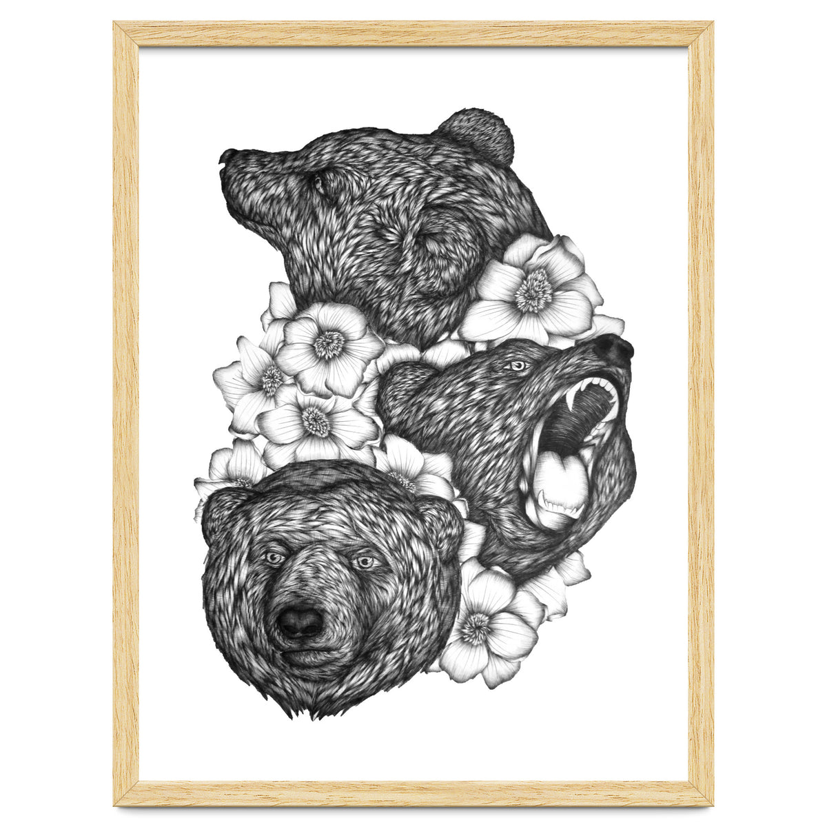 Bears In Bears
