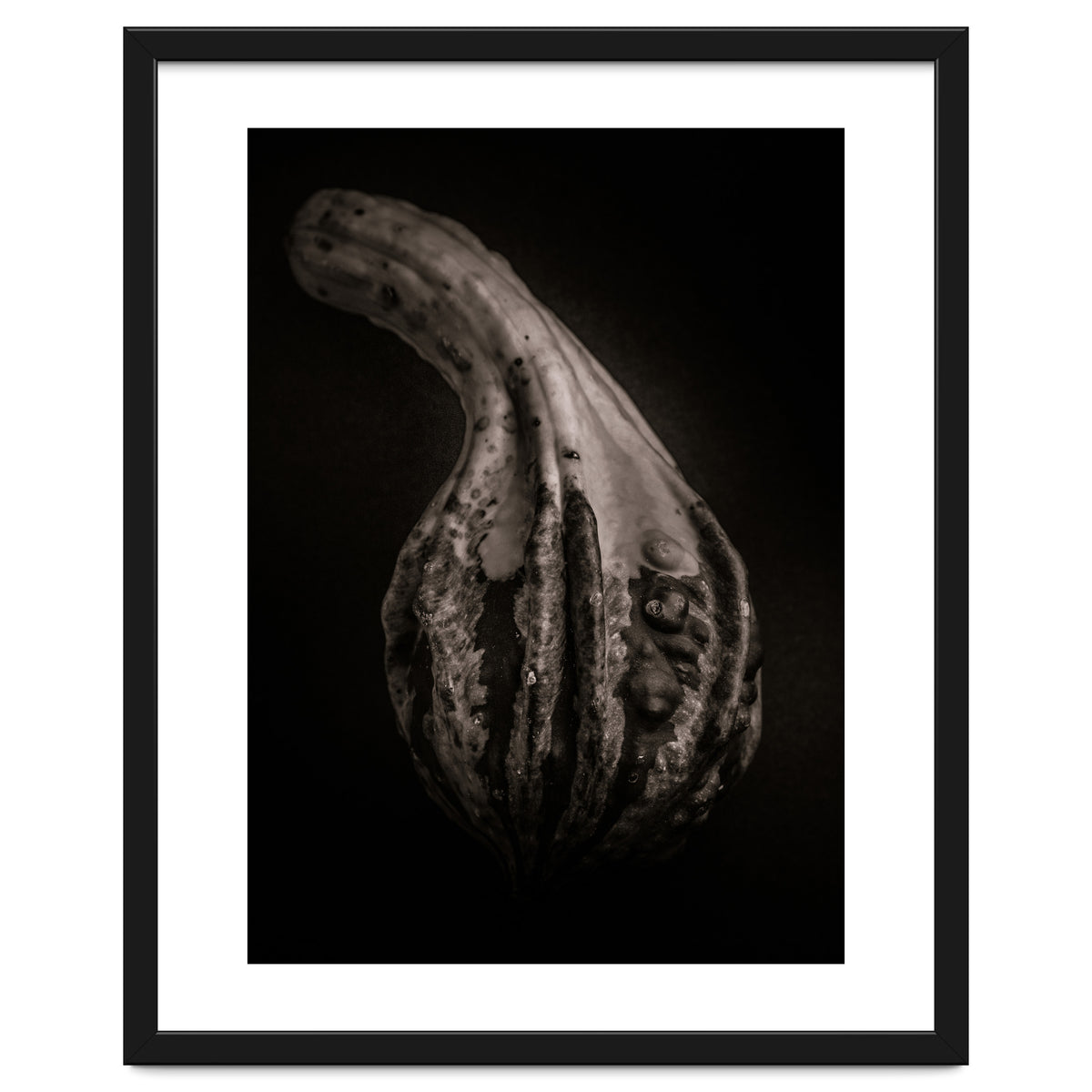 Gourds No 2