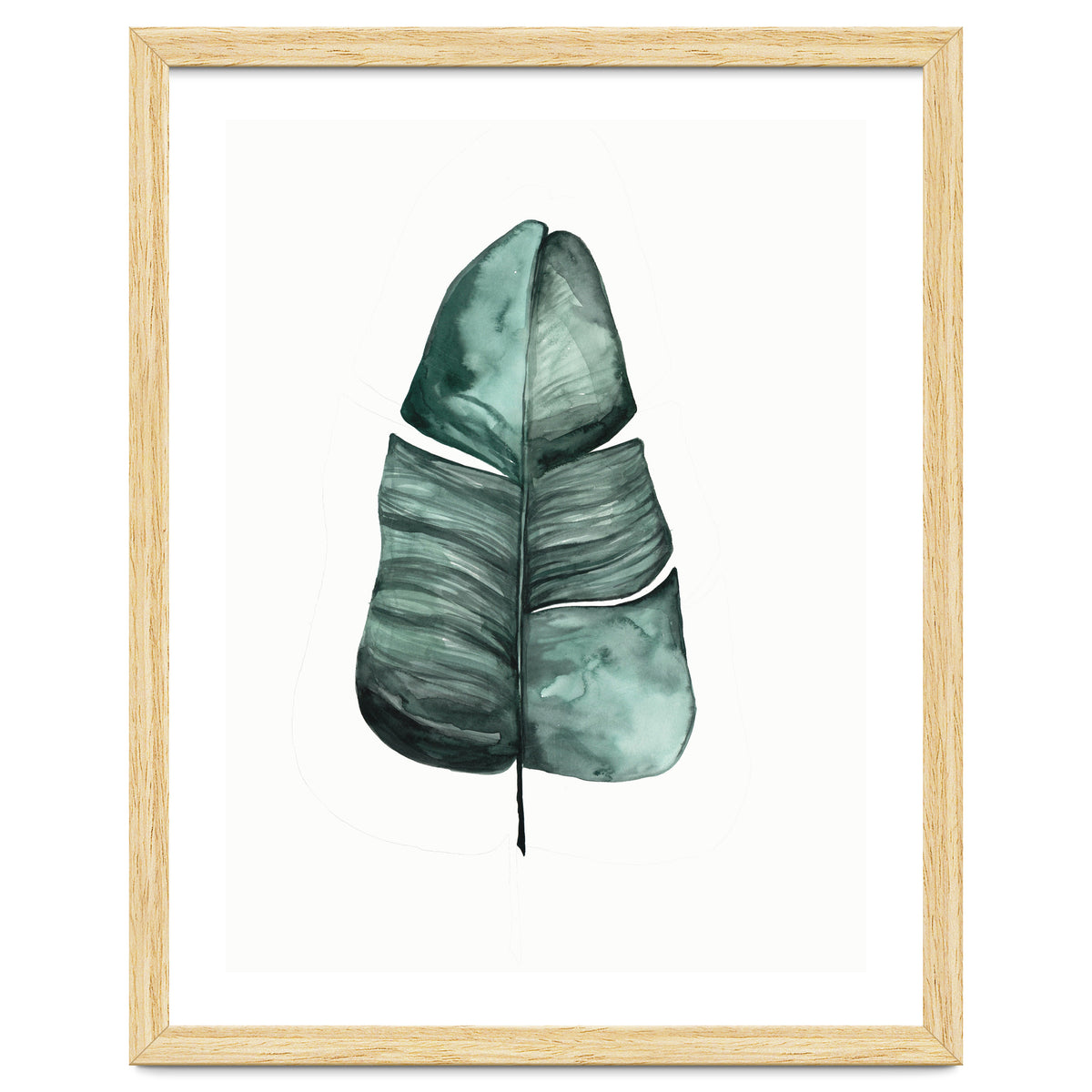 Botanical Illustration Banana Leaf
