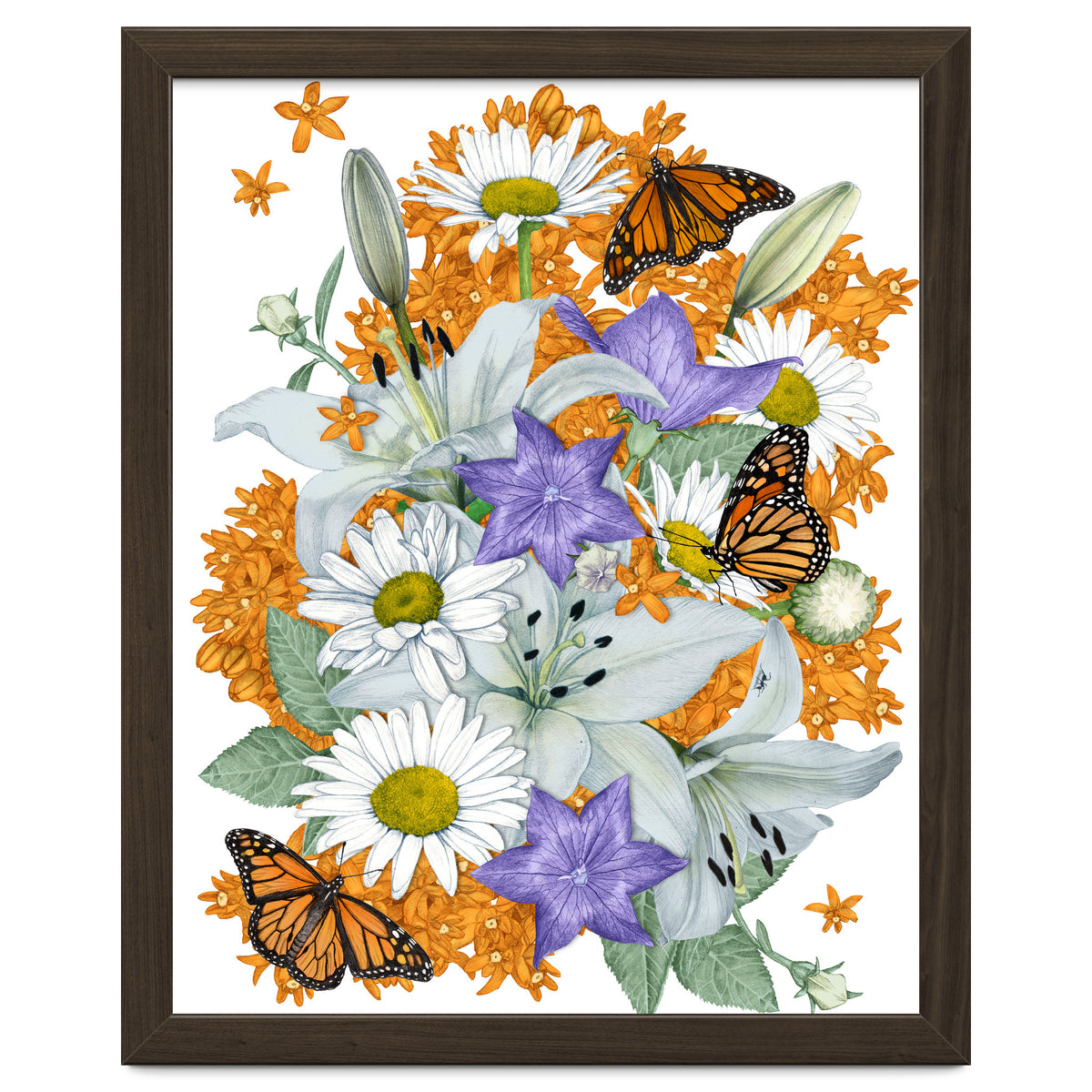 Lillies and Monarchs