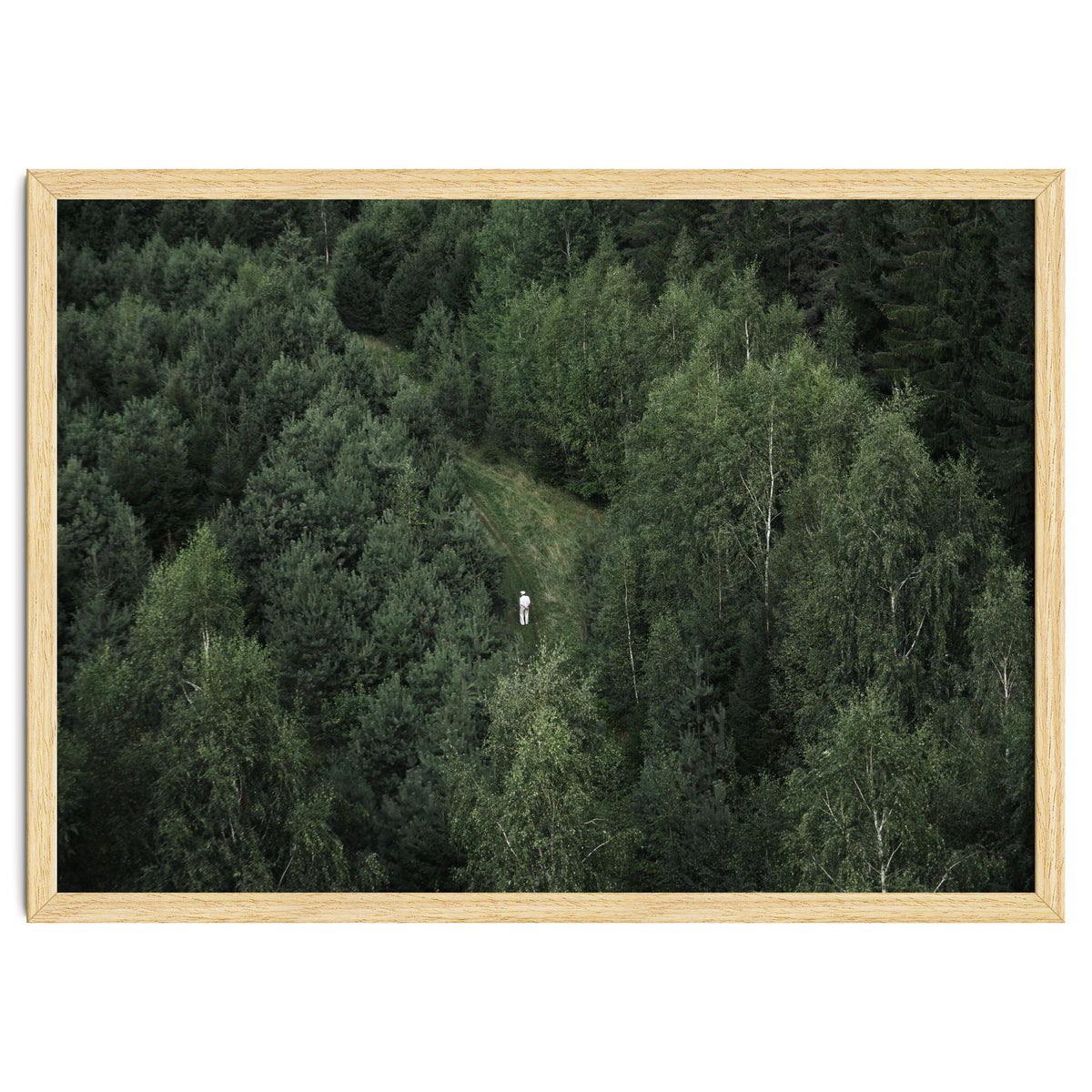 What's the Date Today?