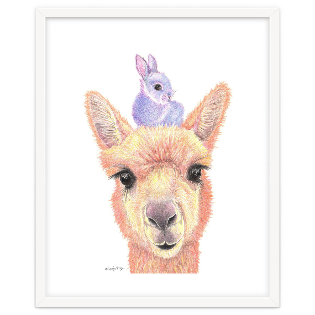 Alpaca and Bunny