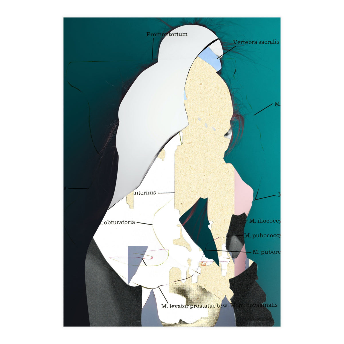 Position Task (Print Only)