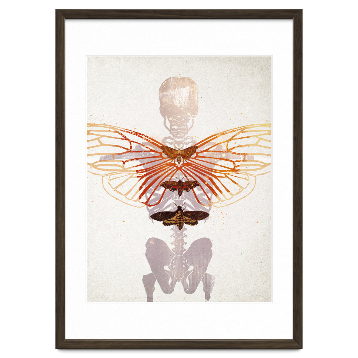 Ikarus - Like a Moth to the Flame