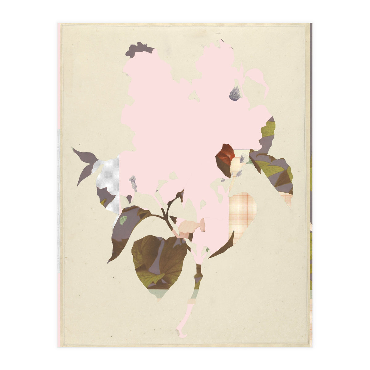 The First Plant · G (Print Only)