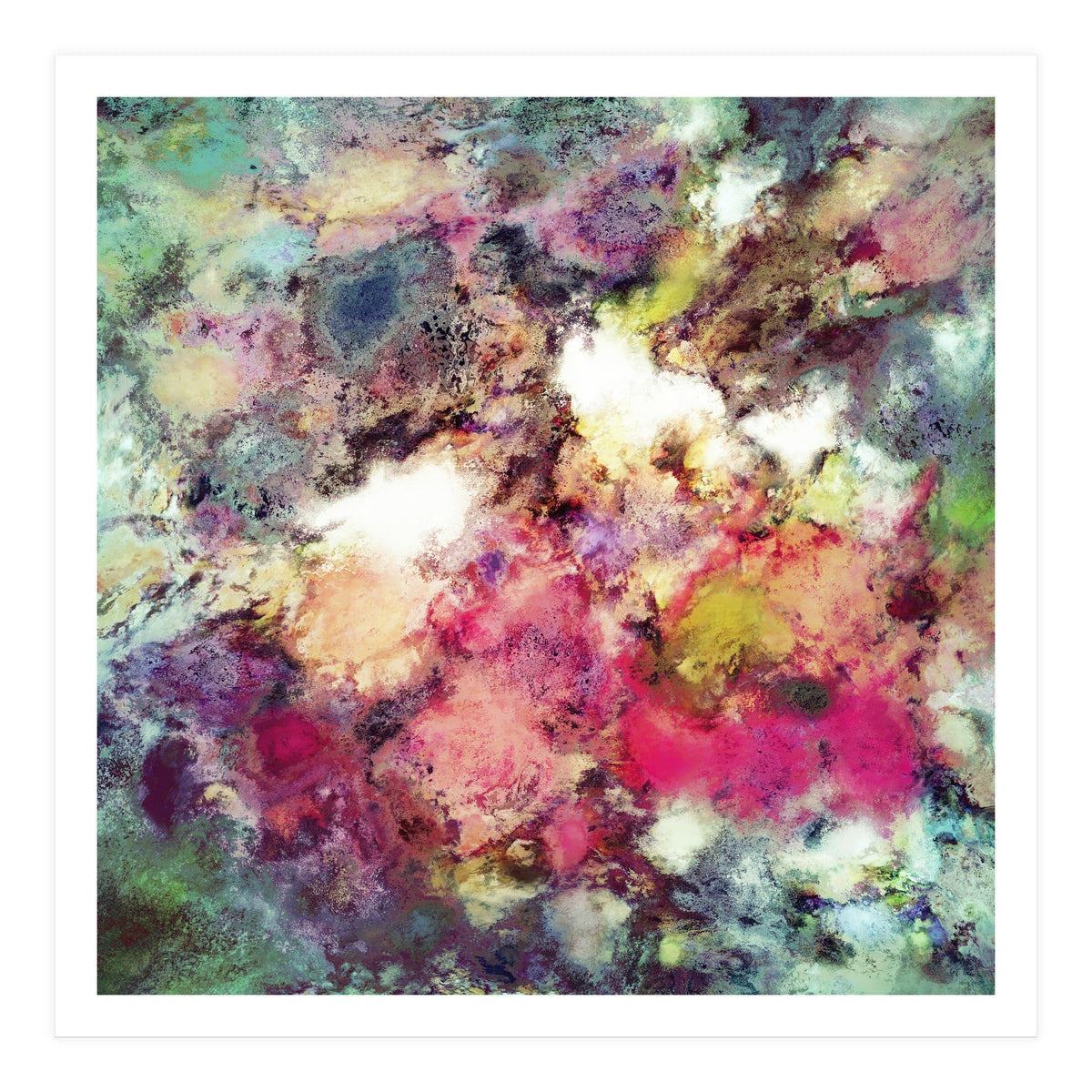 Raspberry Rocks (Print Only)