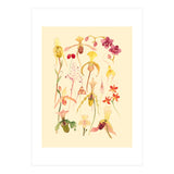 Orchids #3 (Print Only) thumbnail