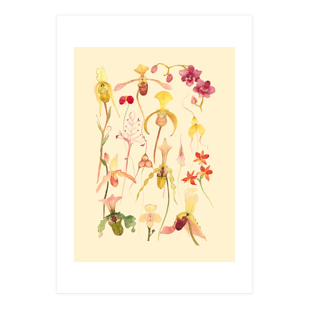 Orchids #3 (Print Only)