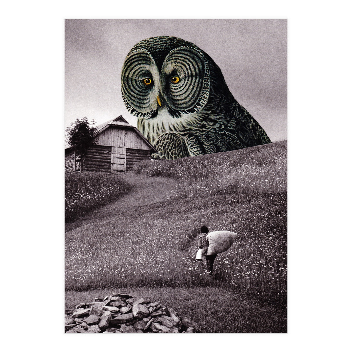 Nocturnal (Print Only)