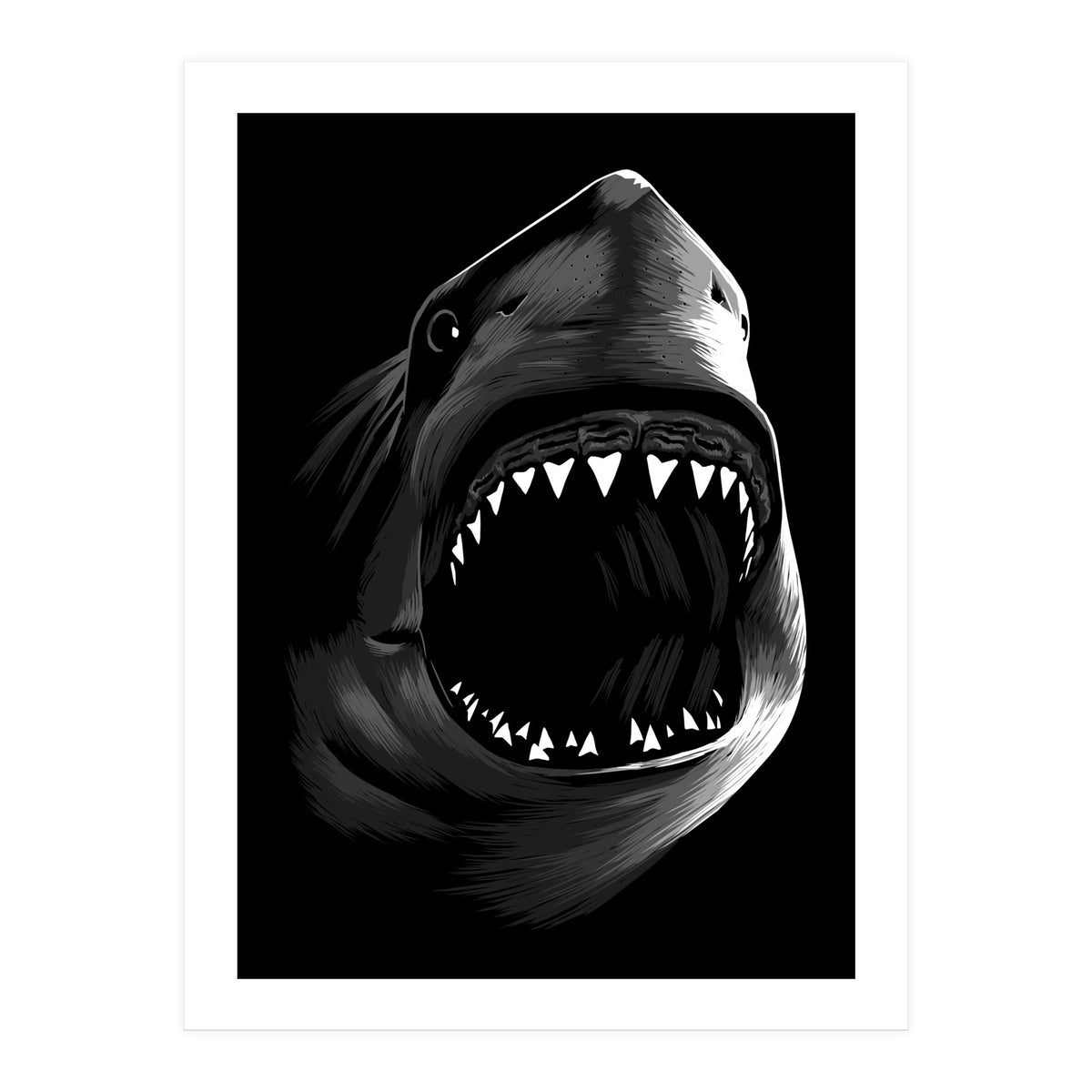Megalodon (Print Only)