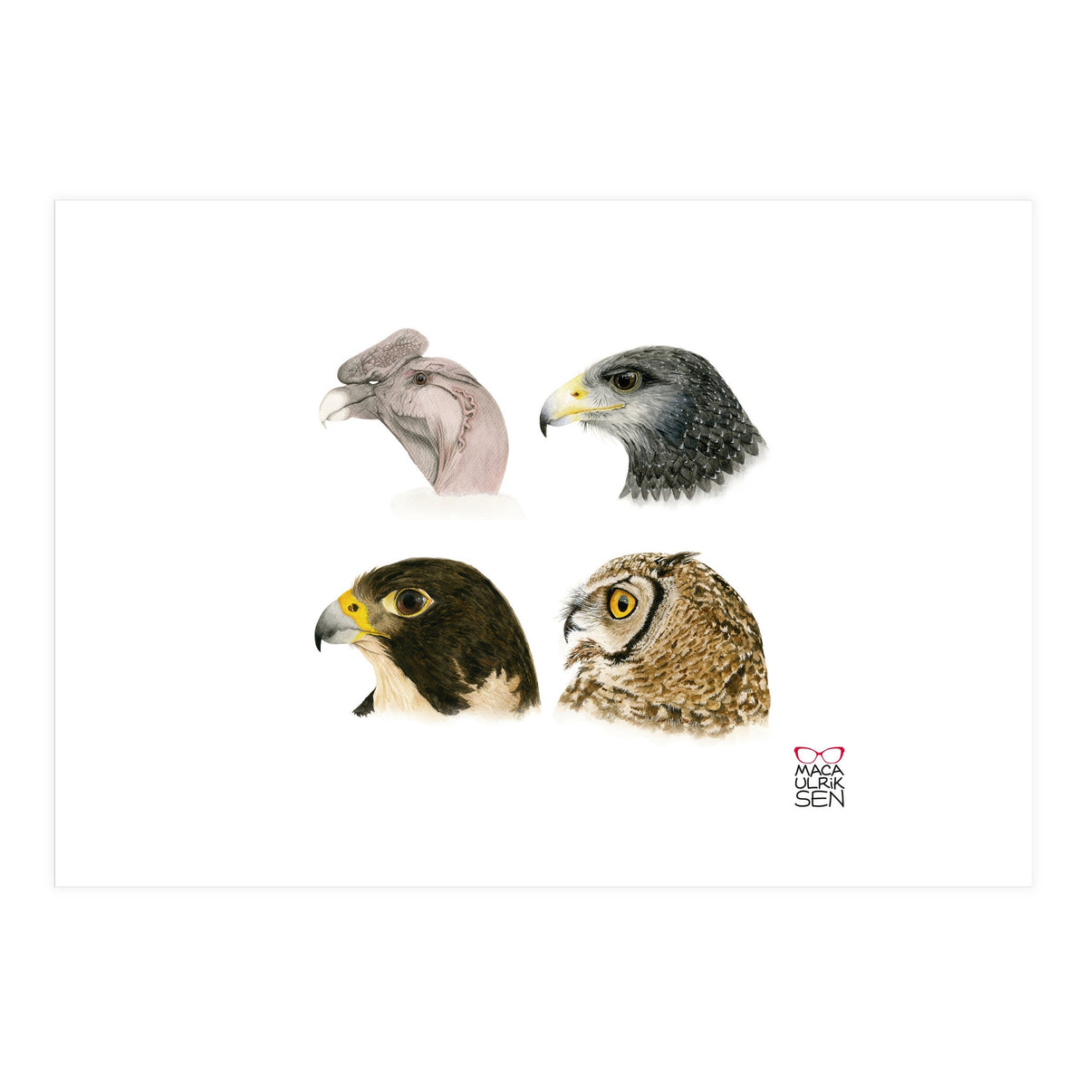 Profile raptors (Print Only)