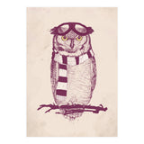 The Aviator (Print Only) thumbnail