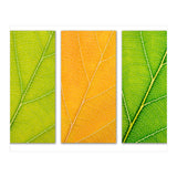 Autumn Leaves (Print Only) thumbnail