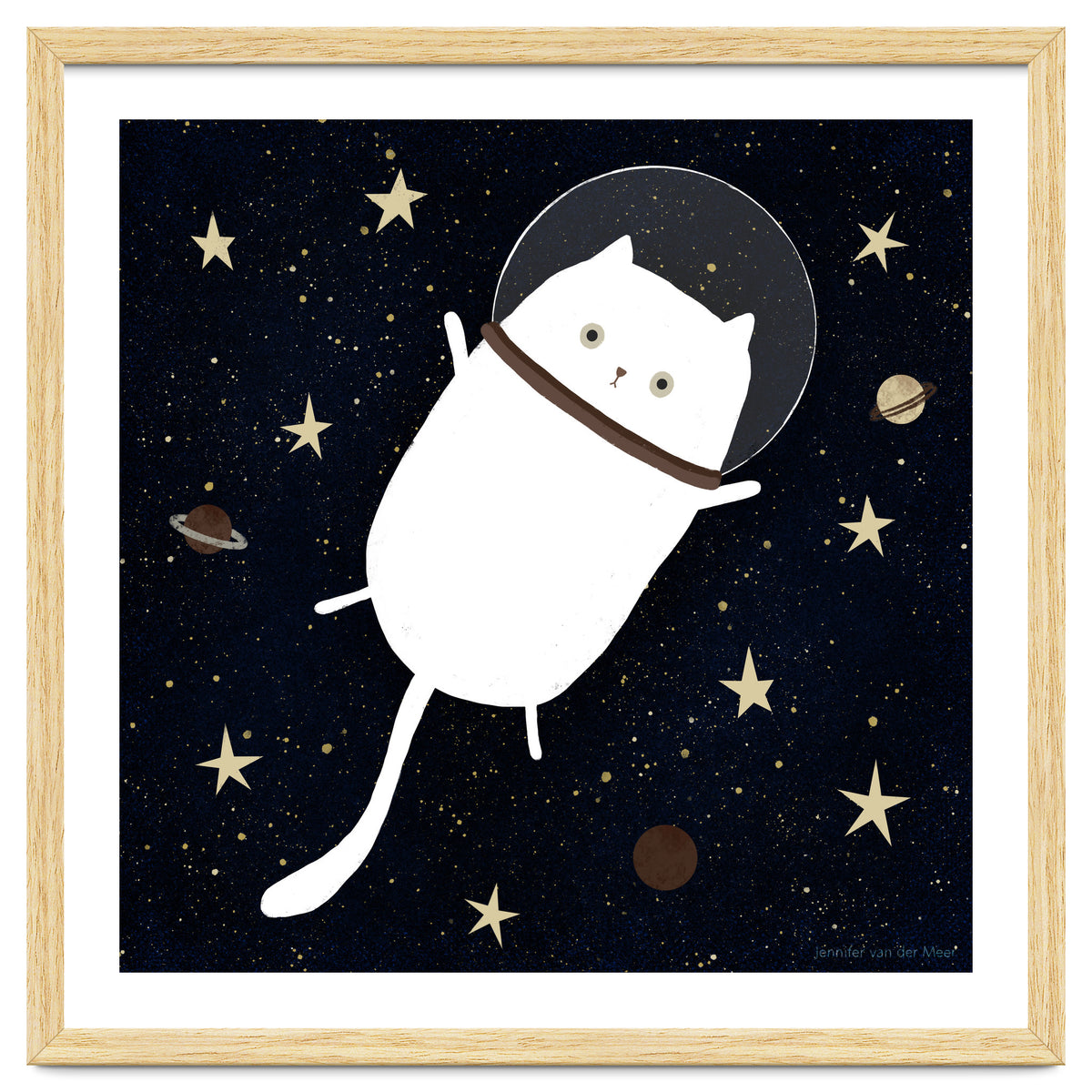 Cat 32: Cats in space!