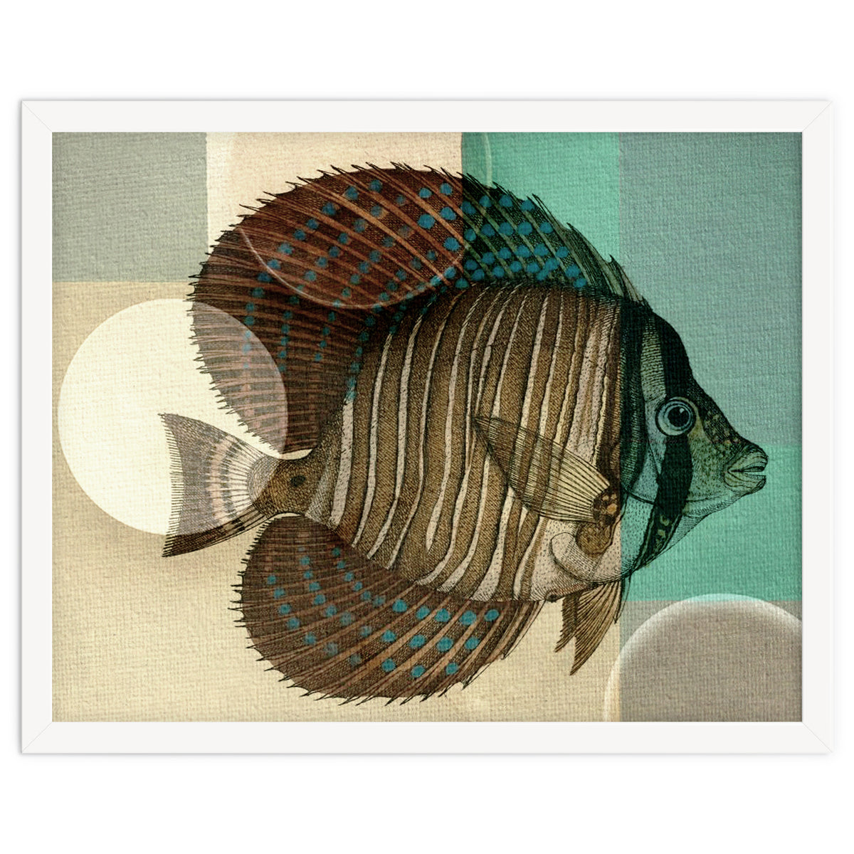 Fish Between Circles 4