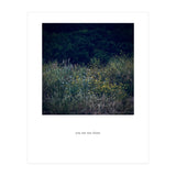 you are not alone - Nature Photography (Print Only) thumbnail