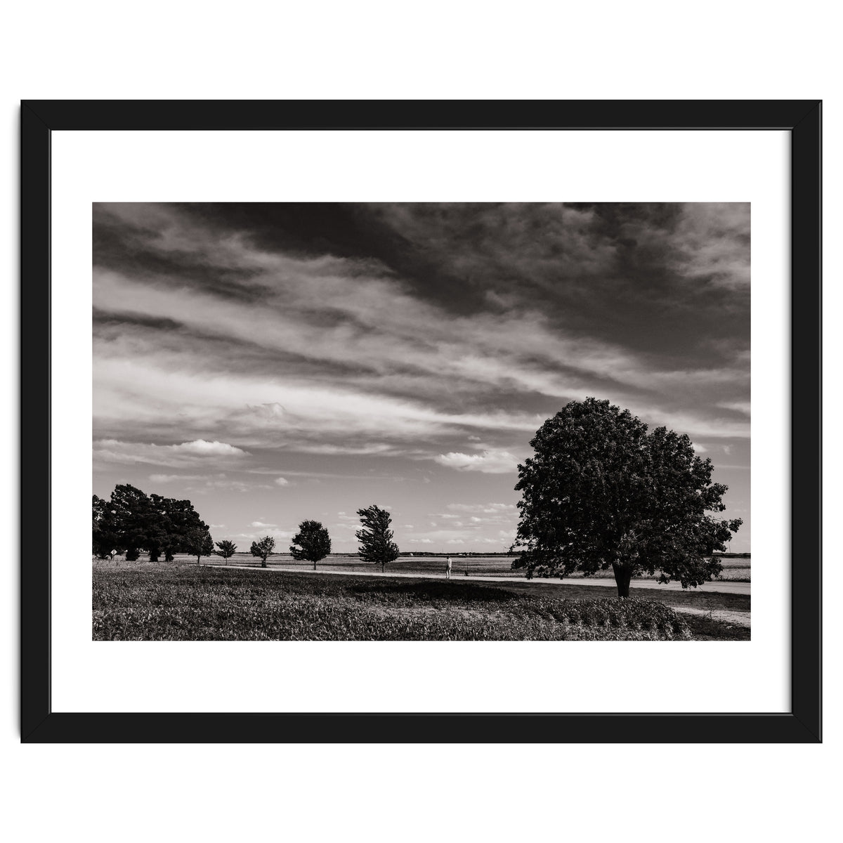 Country Road, Illinois