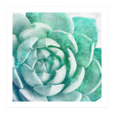Rough Beauty 1 (Print Only) thumbnail