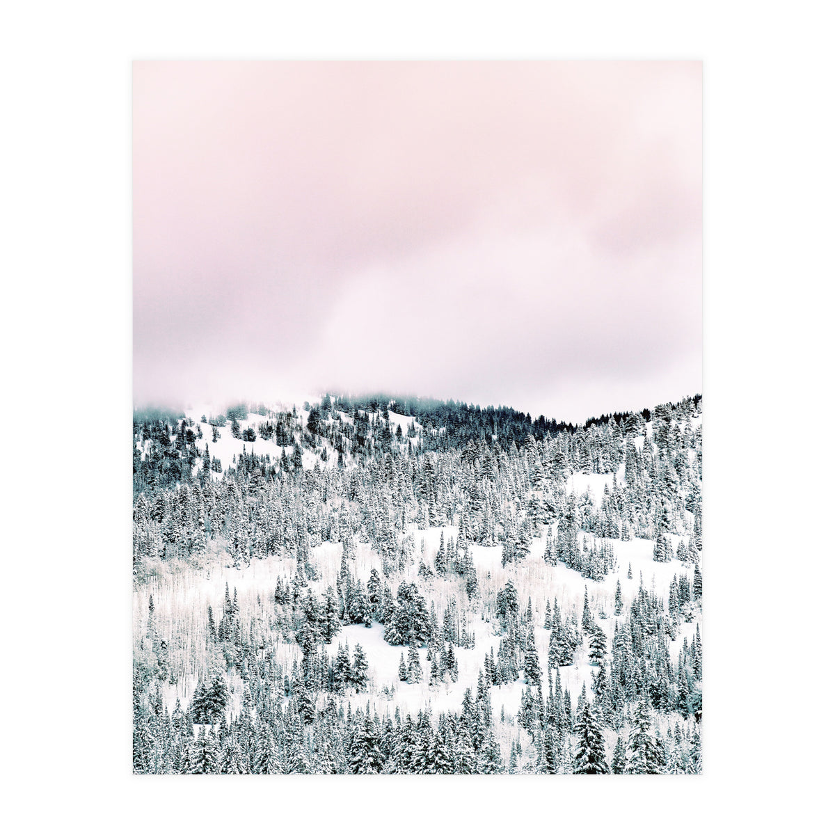 Snow Season (Print Only)