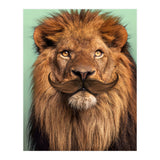 Bearded Lion (Print Only) thumbnail