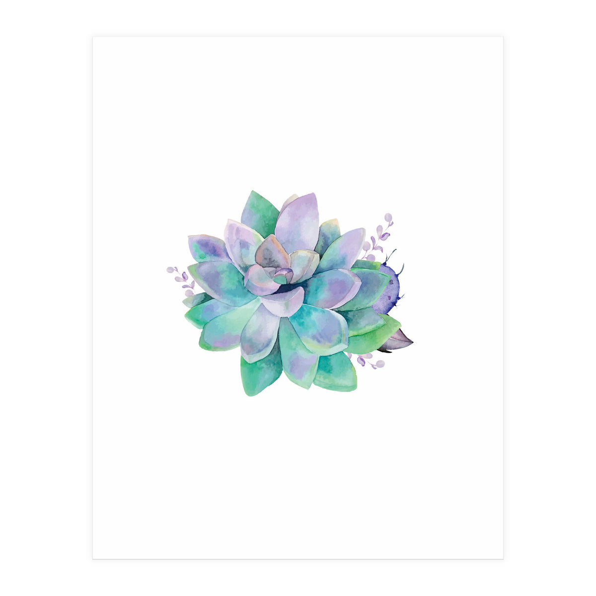 Aqua Succulent (Print Only)