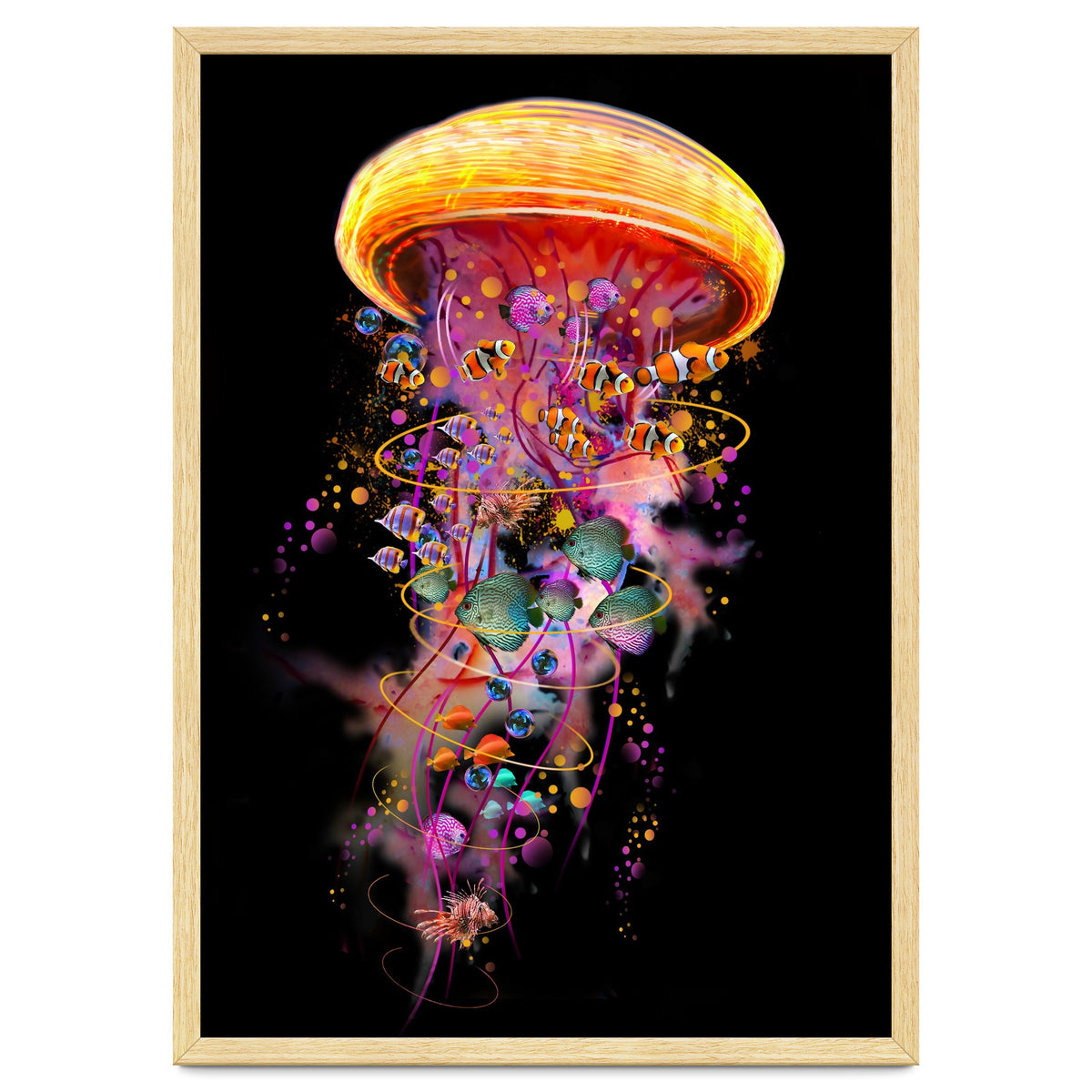 Jelly Fish Ride Summer2018 Dbh