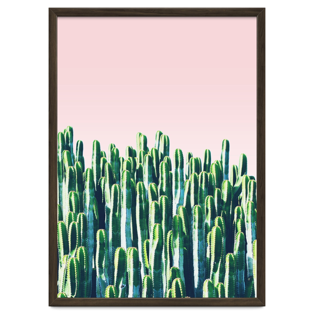 Cactus & Sunset I