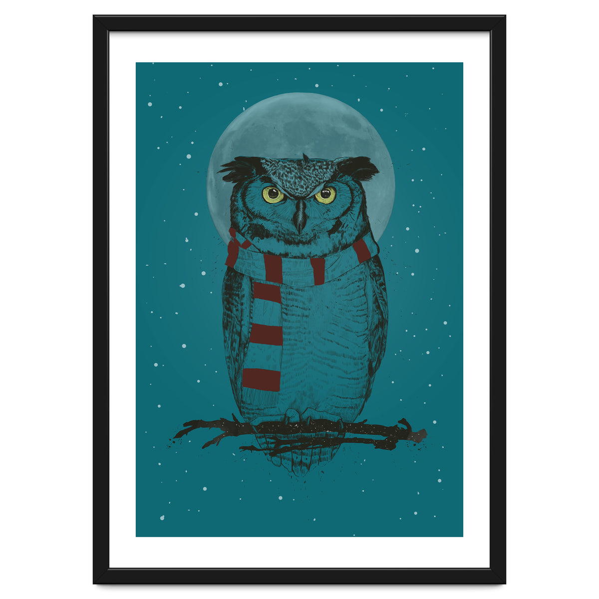 Winter Owl II