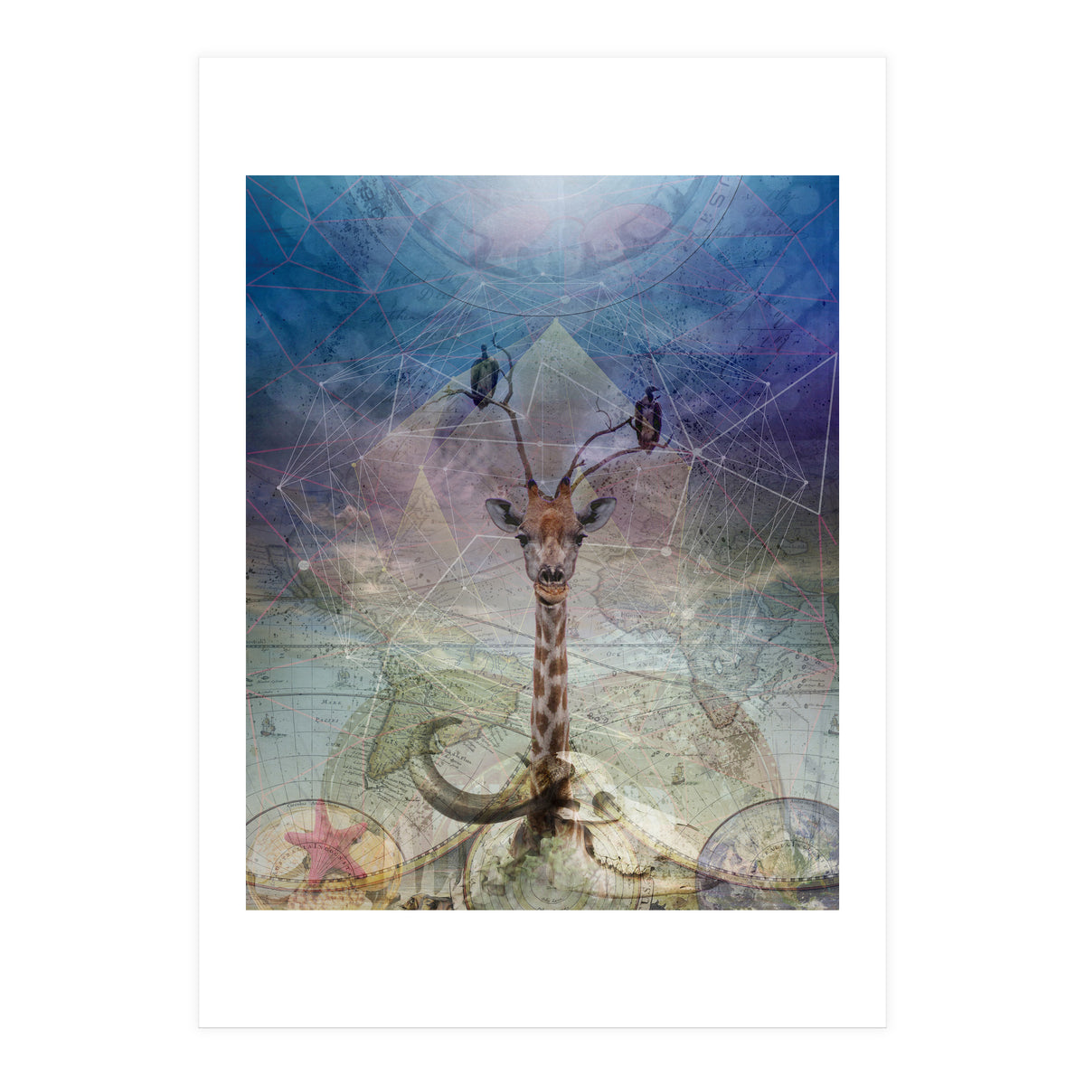 Warning (Print Only)