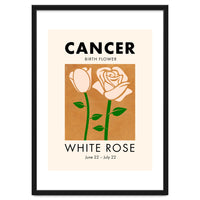 Cancer Birth Flower White Rose