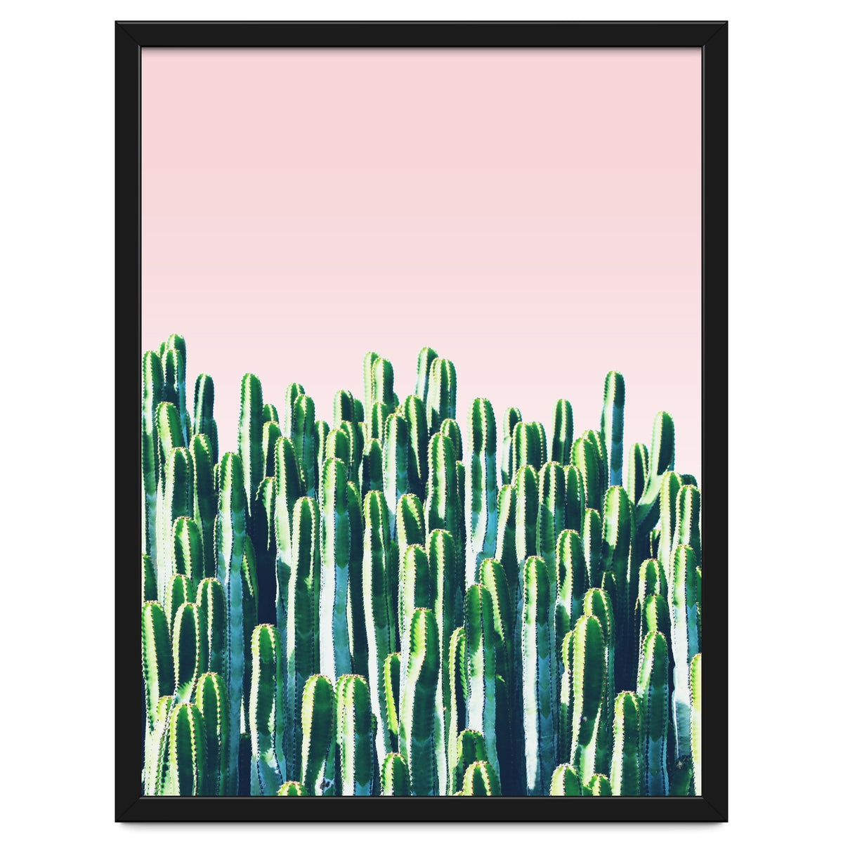 Cactus & Sunset I