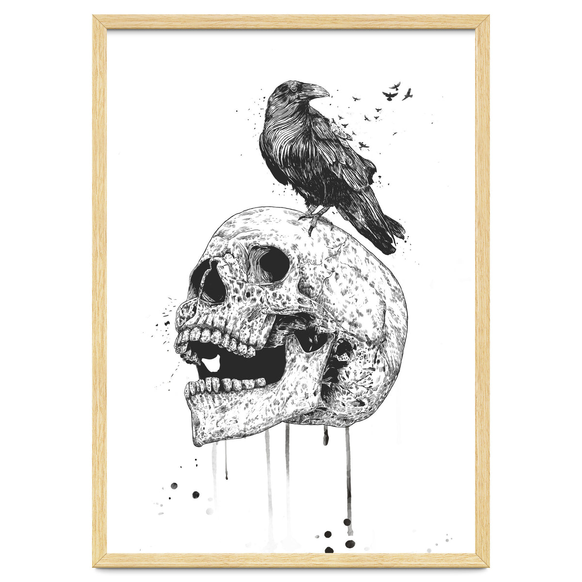 New Skull (bw)