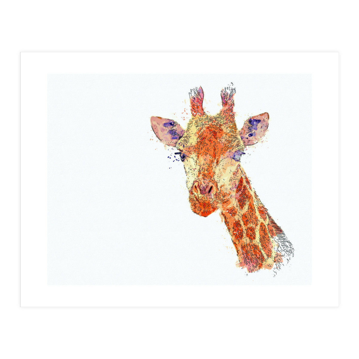 Grayson (Print Only)