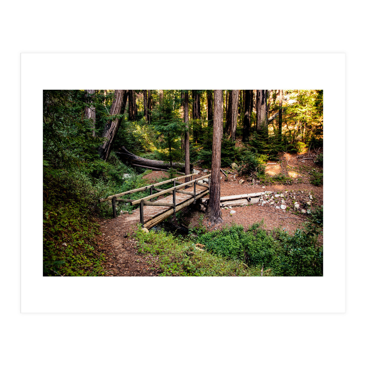 Ewoldsen Loop Bridge (Print Only)