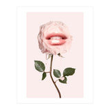 Glossy Rose (Print Only) thumbnail