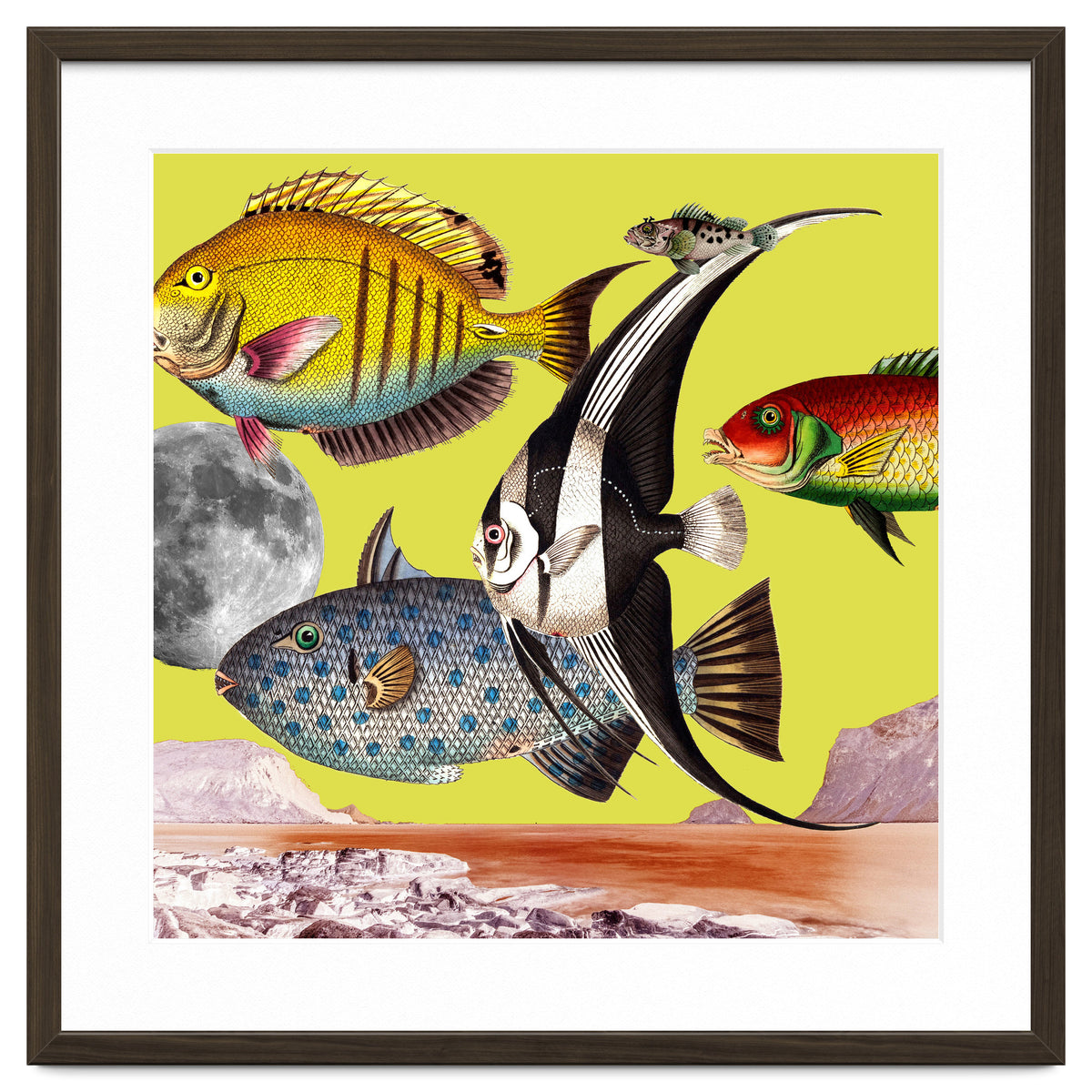 Plenty Of Fish In The Sea Yellow