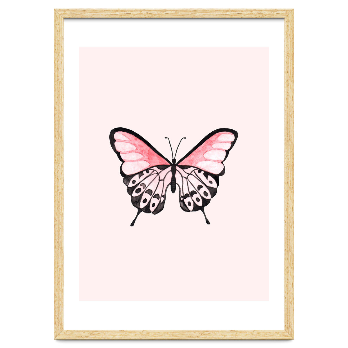 Pink Butterfly