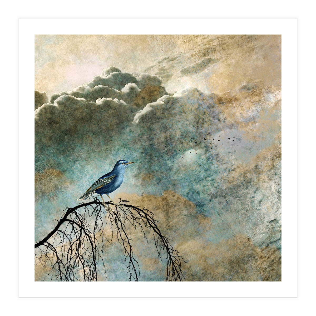 HEAVENLY BIRD IIa (Print Only)