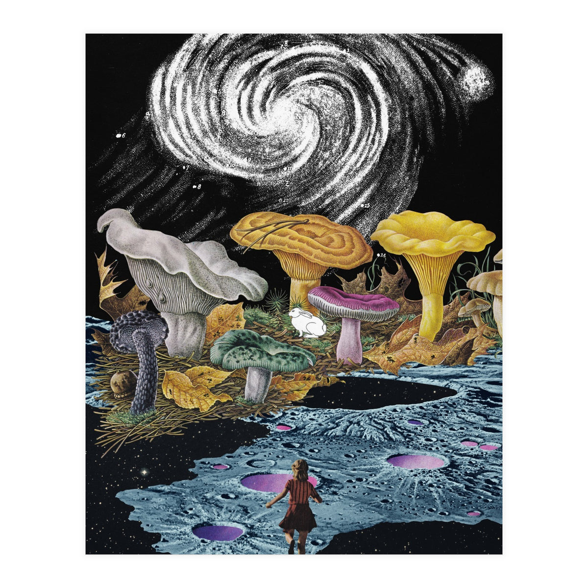 Follow The White Rabbit (Print Only)