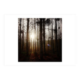 D3 A0 Cf3 E 6509 400 C 926 D 905230 D93 F61 (Print Only) thumbnail