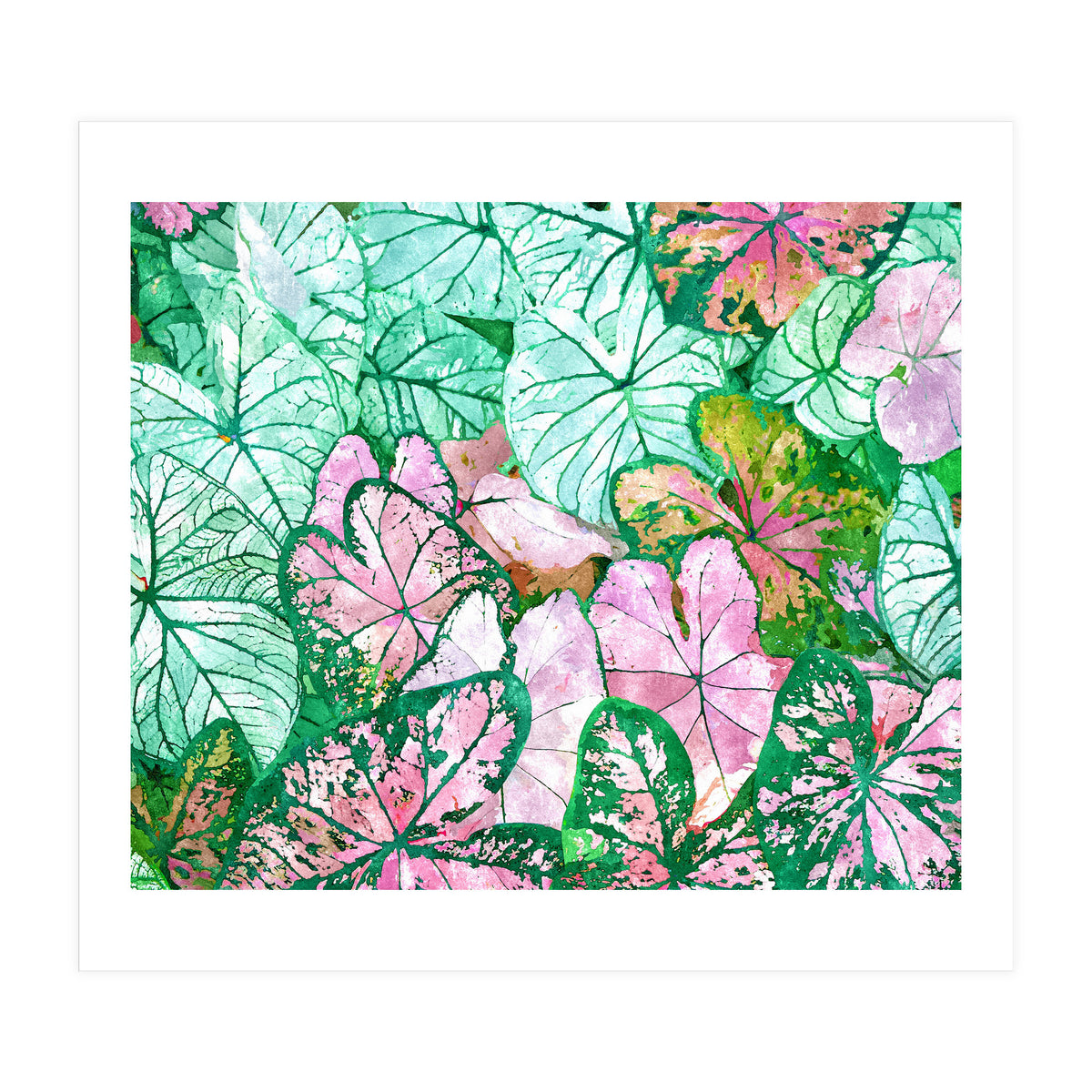 Rain & Nature (Print Only)