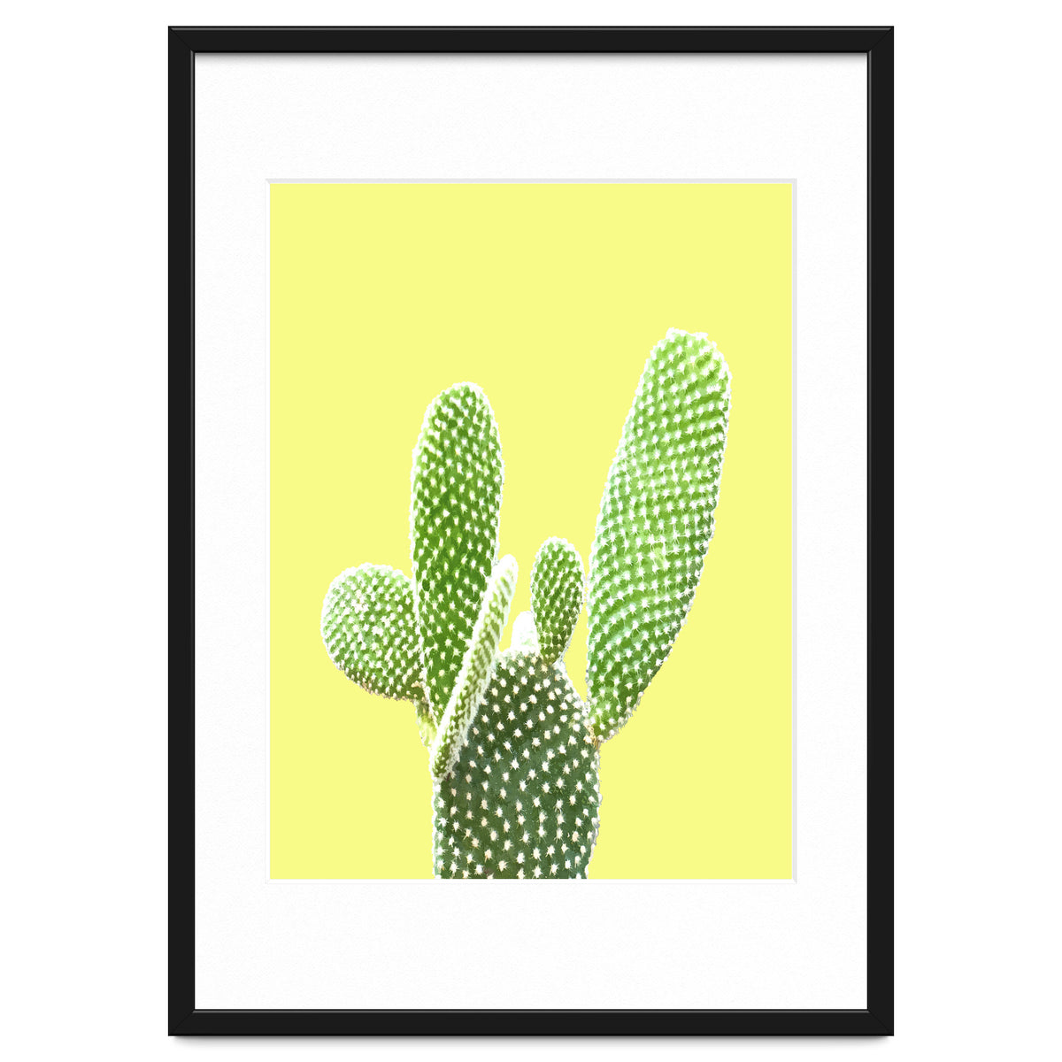 Cactus Yellow Background