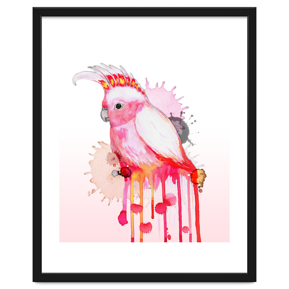 Major Mitchell's cockatoo